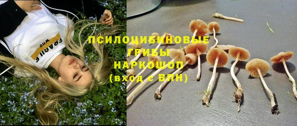 кокаин колумбия Новозыбков