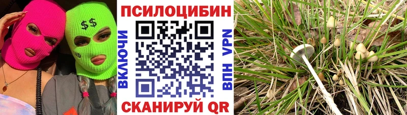 купить наркоту  Белая Холуница  Псилоцибиновые грибы MAGIC MUSHROOMS 